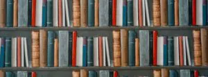 Programa de Educación Básica: Un Análisis Integral